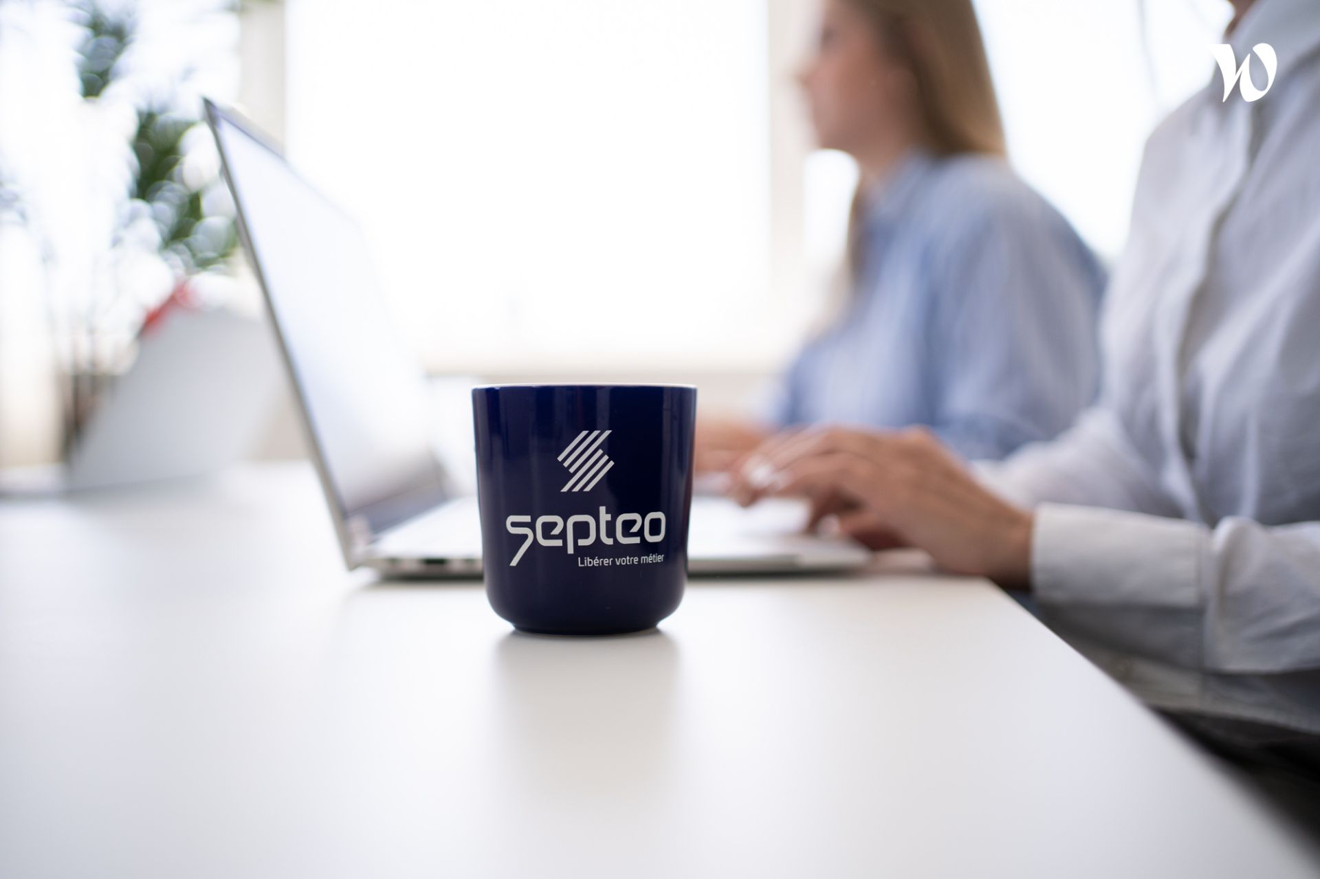 Modèles de documents juridiques pour mandataire immobilier